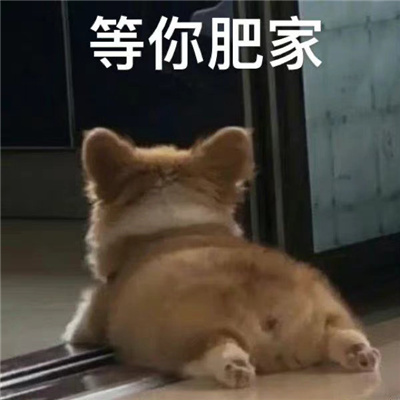 表达想念的恋爱表情包图片 超可爱给台阶下的表情包文字头像2023