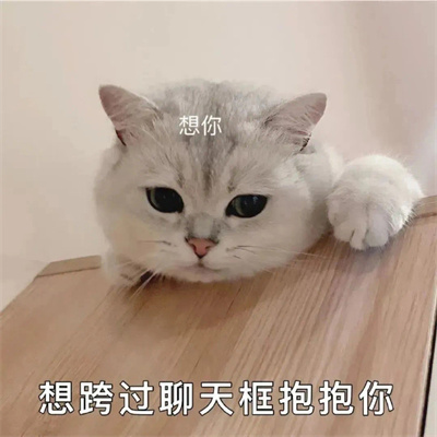 表达想念的恋爱表情包图片 超可爱给台阶下的表情包文字头像2023