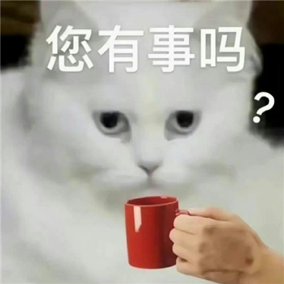 不带脏字超狠怼人文字头像图片 越毒越好怼人表情包搞笑文字头像