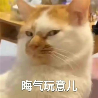 不带脏字超狠怼人文字头像图片 越毒越好怼人表情包搞笑文字头像