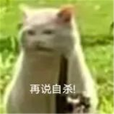 不带脏字超狠怼人文字头像图片 越毒越好怼人表情包搞笑文字头像