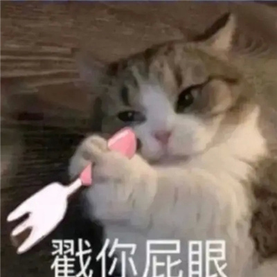 不带脏字超狠怼人文字头像图片 越毒越好怼人表情包搞笑文字头像