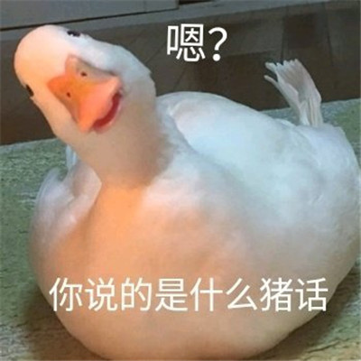 不带脏字超狠怼人文字头像图片 越毒越好怼人表情包搞笑文字头像