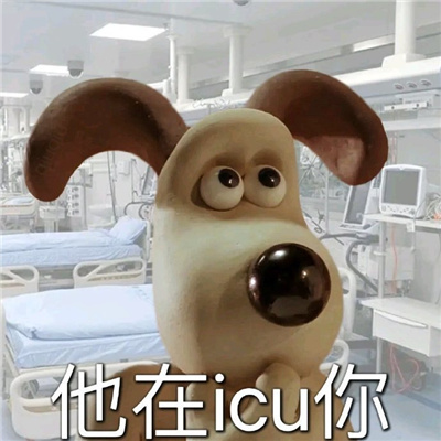 玻尿酸小黄鸭怼人好玩文字头像 超可爱好玩的表情包头像文字图片