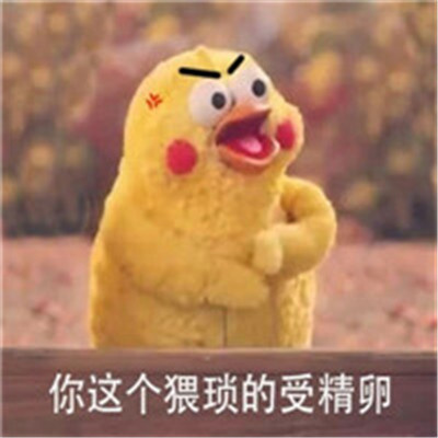 玻尿酸小黄鸭怼人好玩文字头像 超可爱好玩的表情包头像文字图片