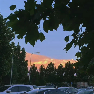 一看就直触心底的内涵头像 伤感有意境的暗色系背景图头像图片