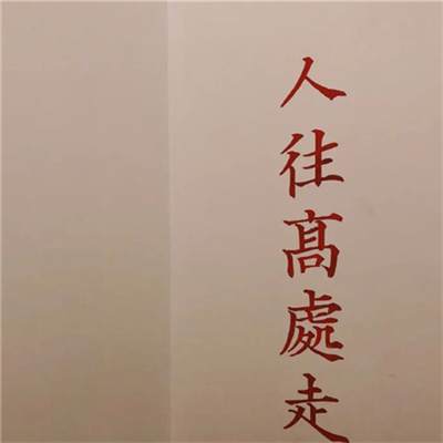 ins风高级质感小众文字头像 2023文字控很治愈的背景图头像图片