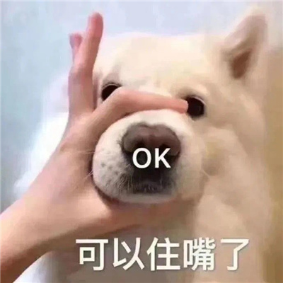 最新网上流行微信表情包图片合集 个性搞笑的表情包头像图片大全