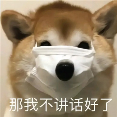 最新网上流行微信表情包图片合集 个性搞笑的表情包头像图片大全