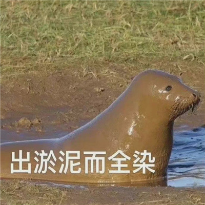 最新网上流行微信表情包图片合集 个性搞笑的表情包头像图片大全