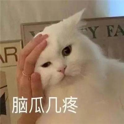 最新网上流行微信表情包图片合集 个性搞笑的表情包头像图片大全