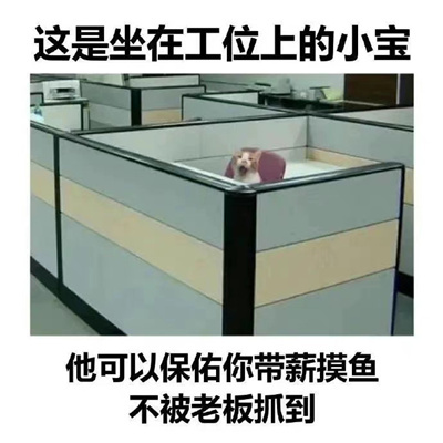 最新网上流行微信表情包图片合集 个性搞笑的表情包头像图片大全
