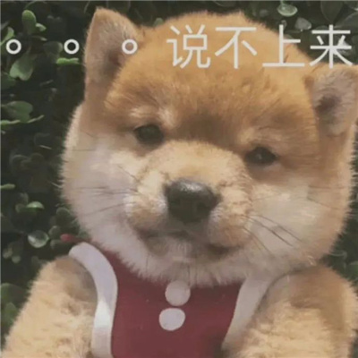 另类创意带字头像图片大全2023 孤寡青蛙搞笑文字表情包头像图片