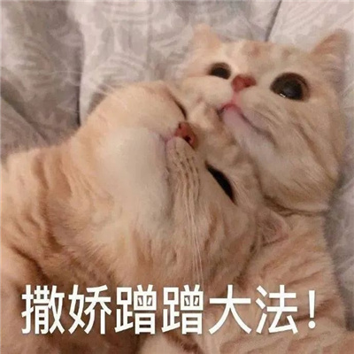 另类创意带字头像图片大全2023 孤寡青蛙搞笑文字表情包头像图片