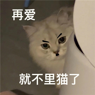 另类创意带字头像图片大全2023 孤寡青蛙搞笑文字表情包头像图片