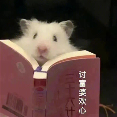 最新个性带字卡通头像图片大全 创意满分搞笑好玩的表情包头像