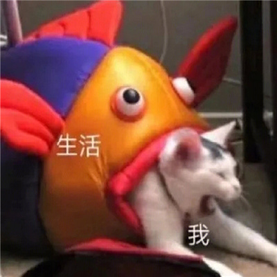 最新个性带字卡通头像图片大全 创意满分搞笑好玩的表情包头像