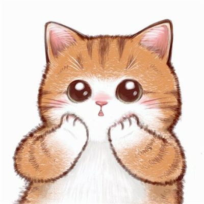 猫咪专属抖音热门头像图片大全 既可爱又治愈的猫咪微信头像图片