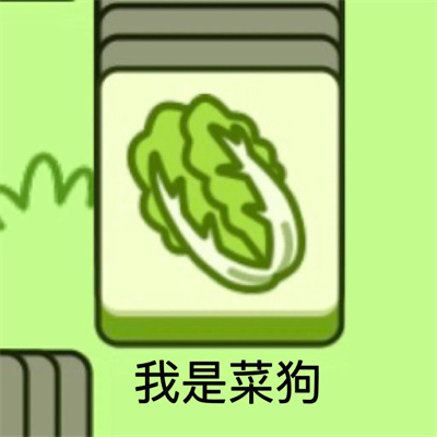 最近很火的小羊系列头像大全 羊了个羊搞笑高清无水印头像图片