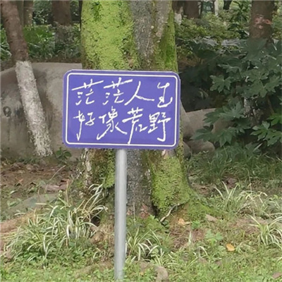 ins风满满的超好看背景图头像 一些精致生活小确幸好看微信头像