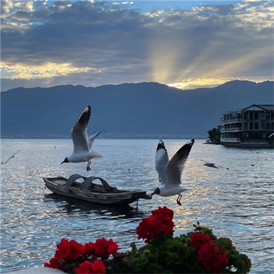 治愈系很有意境的图片头像2022 唯美治愈高级大自然风景头像图片