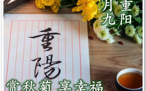 九月九关于老人的重阳节头像 适合所有人用的重阳节微信头像图片