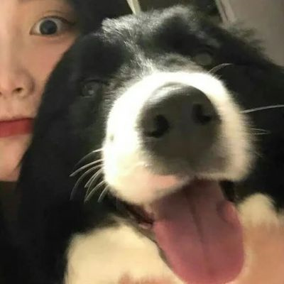 一人一兽萌宠情侣头像2022 对象不是人系列情头真人图片大全