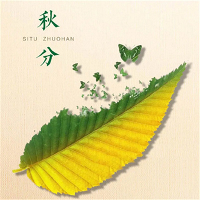 最美小清新淡雅的秋天头像 十月你好唯美有意境的文字头像