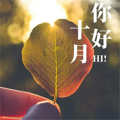 最美小清新淡雅的秋天头像 十月你好唯美有意境的文字头像
