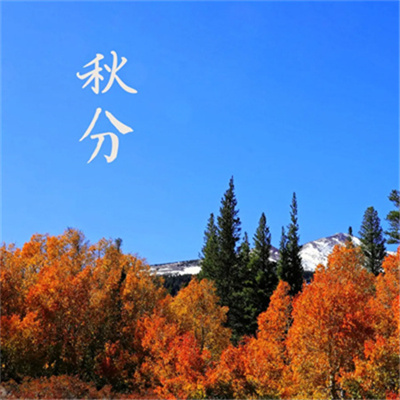 最美小清新淡雅的秋天头像 十月你好唯美有意境的文字头像