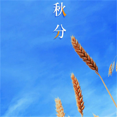 最美小清新淡雅的秋天头像 十月你好唯美有意境的文字头像