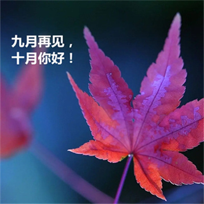 最美小清新淡雅的秋天头像 十月你好唯美有意境的文字头像