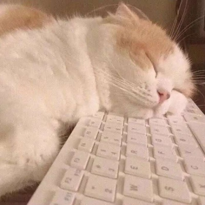 最新猫咪小狗高清头像合集 看一眼就融化的超可爱萌宠微信头像