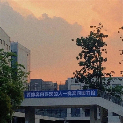 超有氛围感的唯美意境头像最新 充满ins风的朋友圈风景背景头像