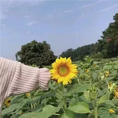 发财山水风景微信头像2022 最新旺财最好看的青山绿水风景头像