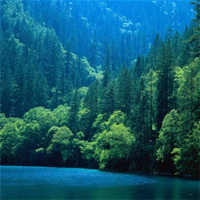 发财山水风景微信头像2022 最新旺财最好看的青山绿水风景头像