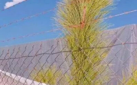 适合父母用的好运微信头像图片大全 好看的唯美中老年风景头像