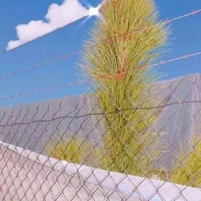适合父母用的好运微信头像图片大全 好看的唯美中老年风景头像