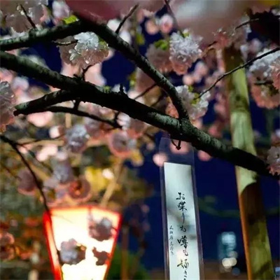 适合父母用的好运微信头像图片大全 好看的唯美中老年风景头像