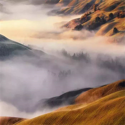 适合父母用的好运微信头像图片大全 好看的唯美中老年风景头像