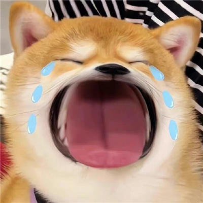 高颜值低调的二次元情头 甜蜜情头有趣超可爱的情头合集