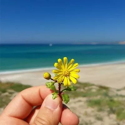 简单干净有内涵的风景头像 清新淡雅能带来好运的大自然风景头像