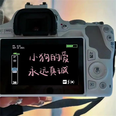 治愈有内涵的高清带字头像 2022最火能当朋友圈背景图的文字头像