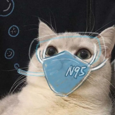 超萌搞笑萌宠情头高清图片大全 搞怪吸睛的猫咪情侣头像一人一张