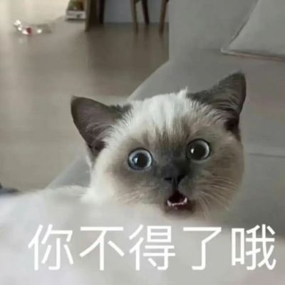 最新颜值爆表的小猫情头很甜蜜 超级萌超级可爱的情侣小猫咪头像