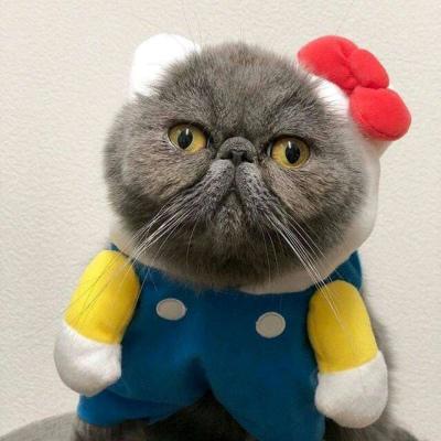最新颜值爆表的小猫情头很甜蜜 超级萌超级可爱的情侣小猫咪头像