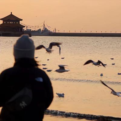 不易看出来的爱意浓浓情侣头 一对情侣头像浪漫精致情意满满情头