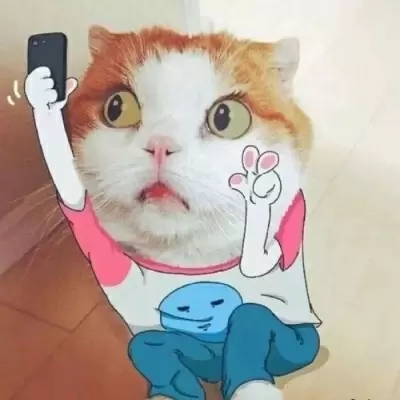 很萌很有趣的可爱小猫咪头像合 独特萌系超级有意思萌宠猫咪头像
