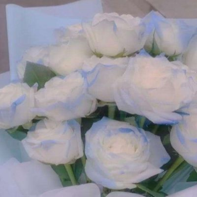 有意境唯美的微信头像2022 花的头像ins花头像微信头像年轻人