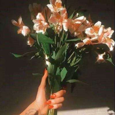 有意境唯美的微信头像2022 花的头像ins花头像微信头像年轻人